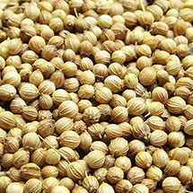 Coriander Seeds